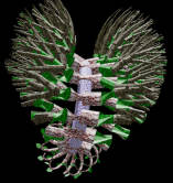 Imagen tridimensional